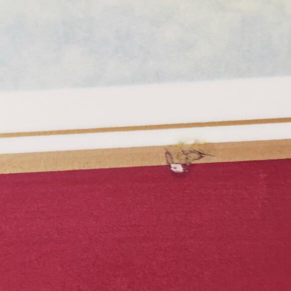 Vintage Pimpernel 2 Traditional Collection Cork Back Placemats London - Picture 7 of 8